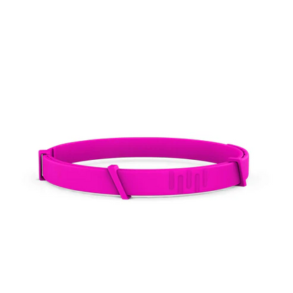 8 Months All Natural Flea and Tick Collar for Dogs