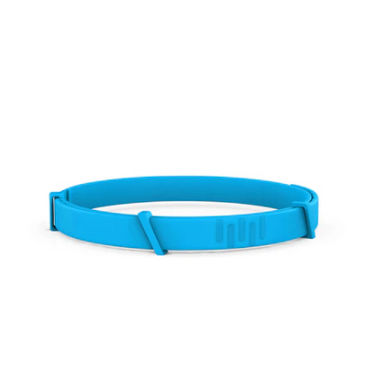 8 Months All Natural Flea and Tick Collar for Dogs