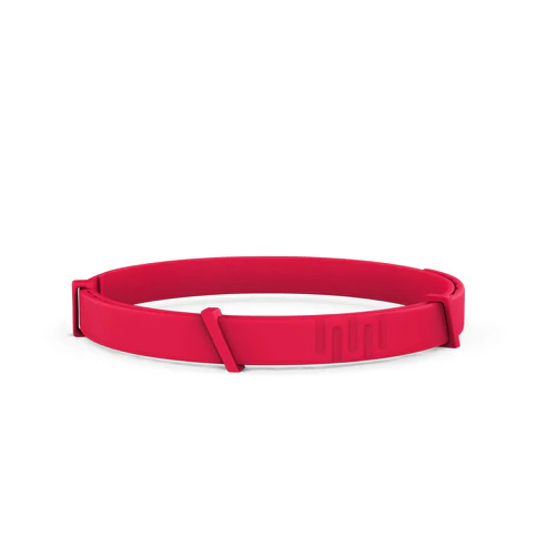 8 Months All Natural Flea and Tick Collar for Dogs